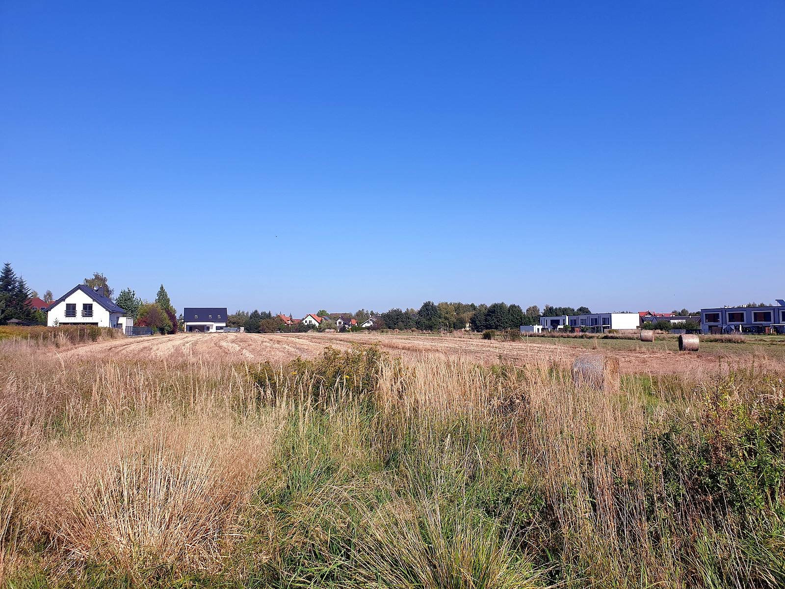 Widok na pola
- dzisiaj